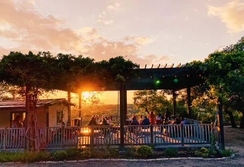 Guests at long tables under the vine-covered pergola as the sun sets at Driftwood Estate Winery.