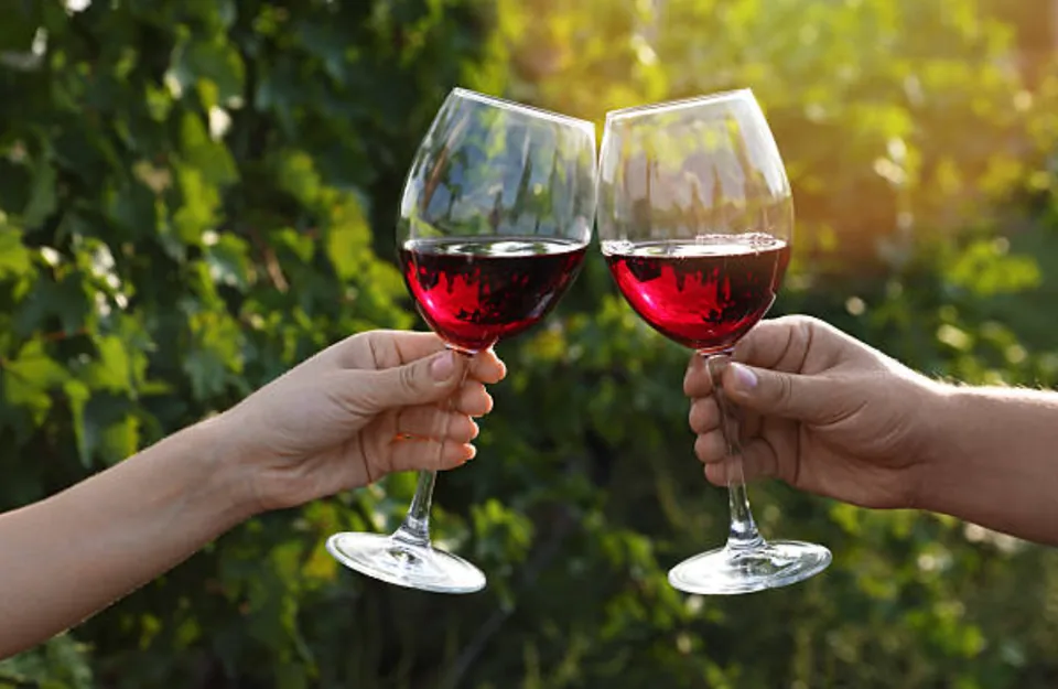 Two glasses of Texas red wine raised in a toast among the vines.