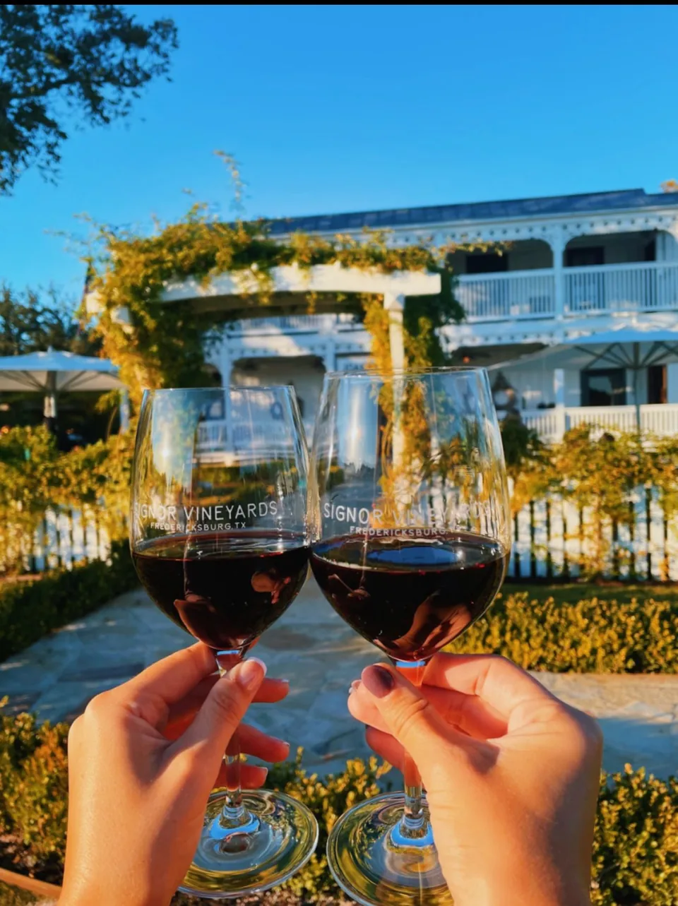 Two glasses of red wine raised in a toast over the vineyard.