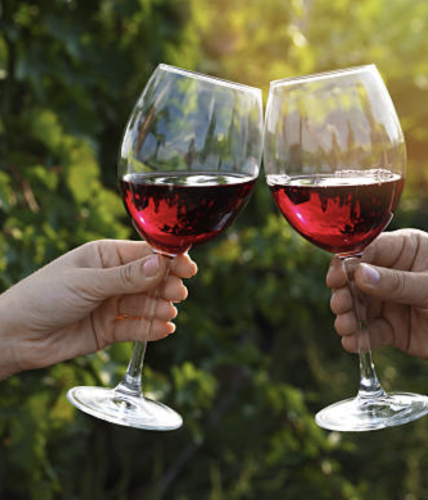 Screen Shot 2026-02-12 at 6.19.50 PM